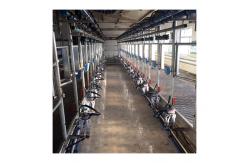 China Electric goat Herringbone Milking Parlor with Automatic system supplier