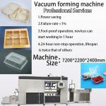 Fully Automatic Plastic Disposable Plates Machine Plastic Lunch Box Making Machinery
