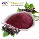 Elderberry Powder Juice Powder 20%Polysaccharide Plant Extract for sale