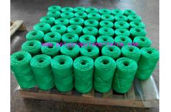 China Non Stretch Polypropylene Twine , Solid Durable Agricultural PP Baler Twine supplier