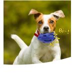 Dogs  Squeaky Dog Foot Ball Toy Indestructible Dog Toy for Small  Medium