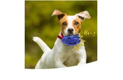 China Dog Toy BallTough Squeaky Interactive Pet Toy Aggressive Chewers Made of Natural Rubber supplier