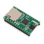 RS232 Communication SD Card Module WT5001M02-28P With SPI Interface for sale