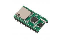 China RS232 Communication SD Card Module WT5001M02-28P With SPI Interface supplier