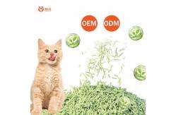 China Fast Clumping Tofu Kitty Litter Green Environmentally Friendly Cat Litter supplier