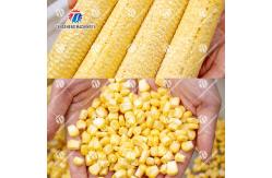 China Mini Automatic Corn Shucker , Fresh Corn Sheller Machine supplier