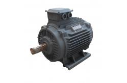 China Renewable Energy Permanent Magnet Alternator Low Speed AC Alternator Generator supplier