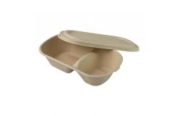 China Biodegradable Disposable Sugarcane Bagasse takeaway Containers Box supplier