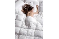 China Home TextilesHealthy  Feather and Down Duvet Covers supplier