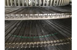 China                  High Performance CAS Function IQF Spiral Freezer for Fruits and Vegetables              supplier