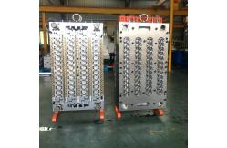 China Polished Plastics Injection Mold With LKM Local Standard & PANTONE877 U supplier