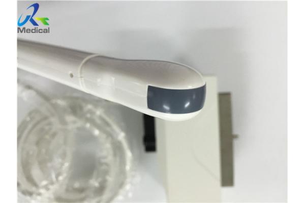 10mm Convex Ultrasound Transducer , Convex Probe Ultrasound EC1123