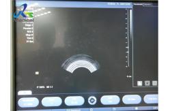 China Urology Endocavitary Ultrasound Transducer Probe Siemens EC9 4 supplier