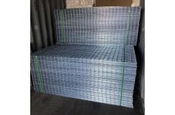 China Iso 5mm Galvanized Welded Wire Mesh Panels supplier