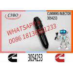 Excavator 3054218 3054253 3032392 4914308 4914325 Engine Common Rail Fuel Injector