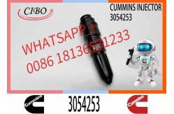 China Excavator 3054218 3054253 3032392 4914308 4914325 Engine Common Rail Fuel Injector supplier