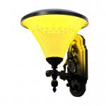 Smart Solar Pathway Light