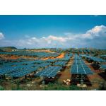 30kw 50kw Single Axis Solar Tracking System 2m Auto Sun Tracking Solar Panel for sale