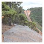 High Tensile Galvanised Gabion Baskets 80x100mm Slope Protection for sale