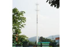 China Microwave Mobile Telecom Monopole Imitated Date Palm Tree supplier