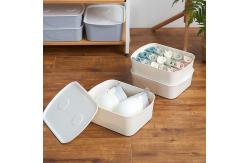 China Gray Plastic 10 Compartment Organizer Plastic Storage Organizer supplier