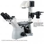 LED Inverted Fluorescence Microscope with Kohler Illumination A14.0900