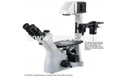 China LED Inverted Fluorescence Microscope with Kohler Illumination A14.0900 supplier