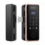 Glass Face Recognition Door Lock Fingerprint Password Tuya Wifi Lock For Office for sale