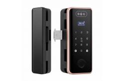 China 3D Face Recognition Electronic Glass Door Lock Fingerprint Password Lock supplier