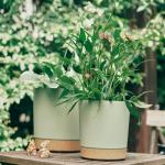 Indoor Plastic Green Plant Pots With Drainage Holes And Removable Base