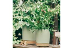 China Indoor Plastic Green Plant Pots With Drainage Holes And Removable Base supplier