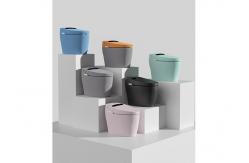 China Electric Sanitary Items Ceramic Toilet Bowl Bathroom Wc Intelligent Smart Bidet supplier