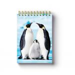 Free Sample A5 Size 3d Lenticular Notebook Cover 0.6mm Thickness