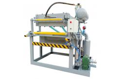 China Disposable Chicken Egg Tray Forming Machine Egg Tray Machine supplier