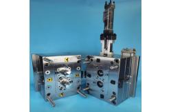 China Polished Plastics Injection Mold With LKM Local Standard & PANTONE877 U supplier