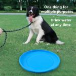 Hard Rubber Chew Toys For Dogs Indoor Interactive Eco Friendly