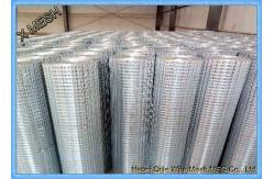 China Industrial Aviary 1  Electro / Hot Dipped Galvanized Welded Wire Mesh supplier