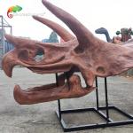 Jurassic World Replica Triceratops Skeleton Sunproof For Museum for sale