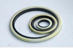 China Seal Oil Fuel Water and Medicine with Bonded Seals for Pressure Systems supplier