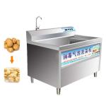 0.5KW Automatic Vegetable Washing Machine Small Air Bubble Washing Machine for sale