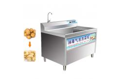 China 0.5KW Automatic Vegetable Washing Machine Small Air Bubble Washing Machine supplier