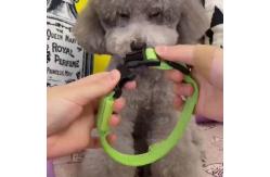 China Hundehalsband Lighted Dog Collars Rechargeable Nylon XS XL LED Pet Collar supplier