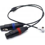 Arri Alexa Mini LF Audio Cable XLR 3 Pin To Right Angle 0B 6 Pin Male Connector Audio Double Channel for sale