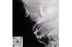 China Virgin Polyester Fiber For Industrial Filtration supplier