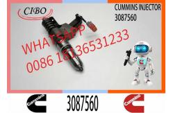 China 3087733 Diesel Fuel Injector N14 Common Rail Injector 3087560 3411752 3411765 supplier