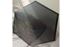 China Customized Metal False Acoustic Ceiling Tile Perforated Clip In Hexagonal supplier