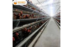 China “A” Type Layer Cage supplier
