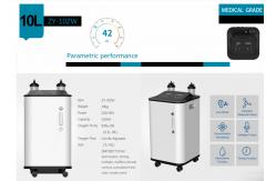 China SGS 96% Purity High Flow Oxygen Machine 10 Liter O2 Oxygen Machine supplier