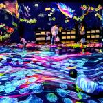 3d Holographic Interactive Wall Projection Software Immersive Room Experience for sale