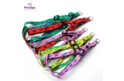 China Padded Handle 120cm Nylon Dog Leash For Walking / Training supplier